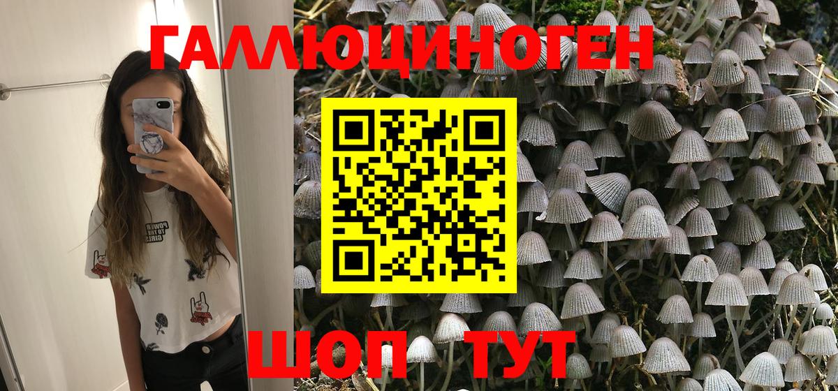 Псилоцибиновые грибы GOLDEN TEACHER  Галлюциногенные грибы Cubensis  Искитим  Вход с VPN 